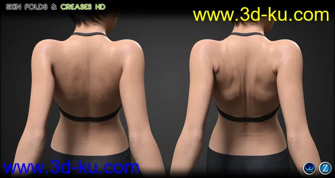 Skin Folds & Creases HD for Genesis 3 & 8 Female模型的图片11
