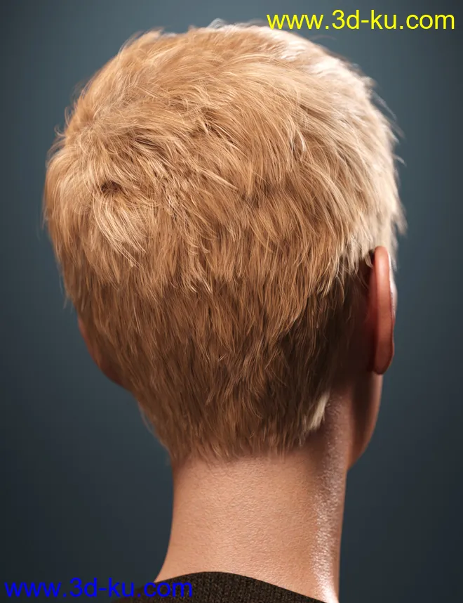 SP Hair 007 for Genesis 3 and 8 Male(s)模型的图片3
