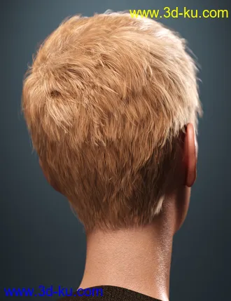 3D打印模型SP Hair 007 for Genesis 3 and 8 Male(s)的图片