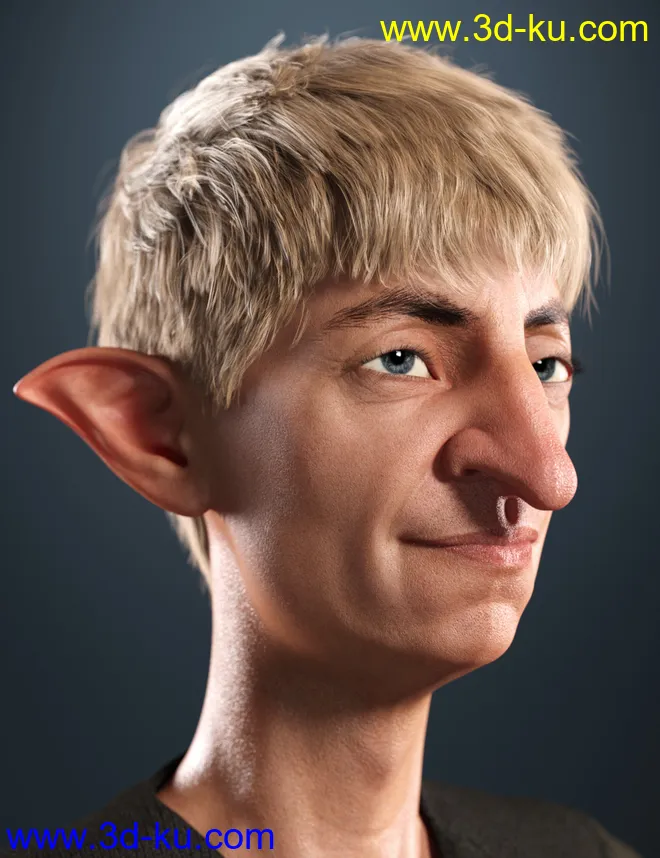 SP Hair 007 for Genesis 3 and 8 Male(s)模型的图片4