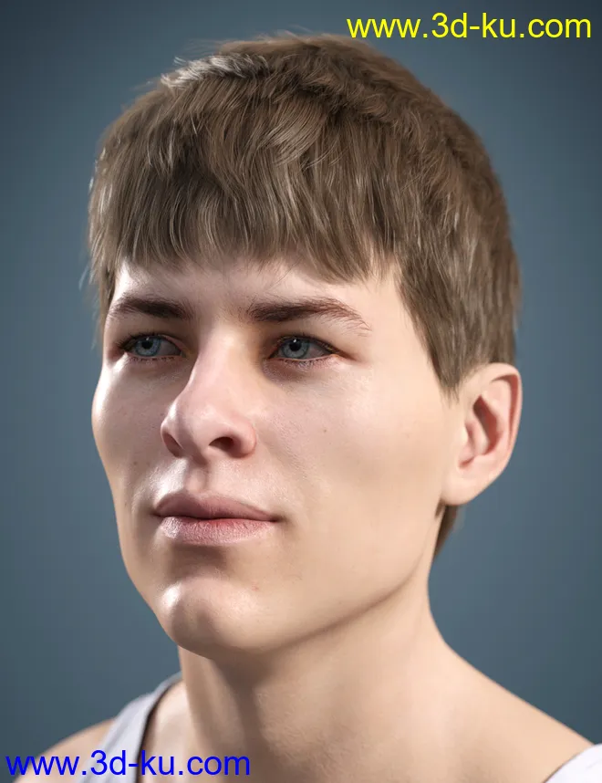 SP Hair 007 for Genesis 3 and 8 Male(s)模型的图片5