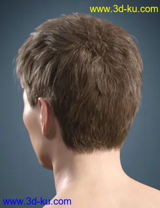 3D打印模型SP Hair 007 for Genesis 3 and 8 Male(s)的图片