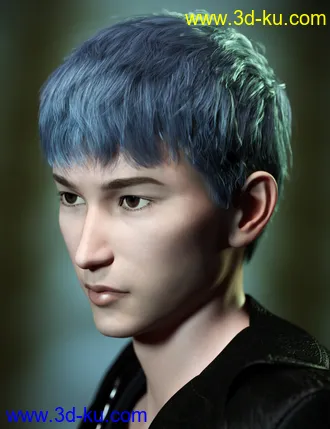 3D打印模型SP Hair 007 for Genesis 3 and 8 Male(s)的图片