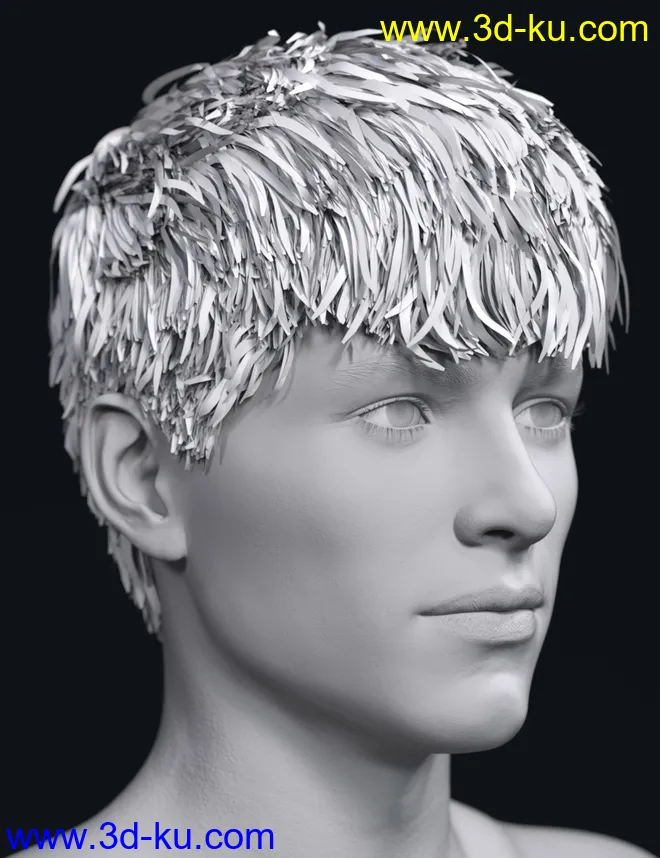 SP Hair 007 for Genesis 3 and 8 Male(s)模型的图片8