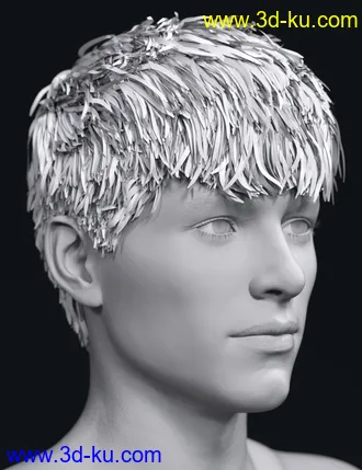 3D打印模型SP Hair 007 for Genesis 3 and 8 Male(s)的图片