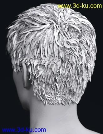 3D打印模型SP Hair 007 for Genesis 3 and 8 Male(s)的图片