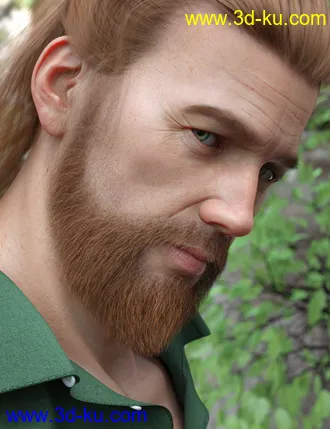 3D打印模型Stranded Whiskers for Genesis 8 Male(s)的图片
