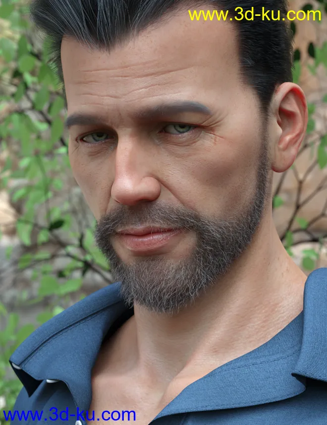 Stranded Whiskers for Genesis 8 Male(s)模型的图片3
