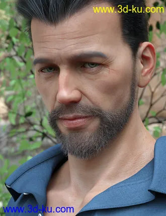3D打印模型Stranded Whiskers for Genesis 8 Male(s)的图片