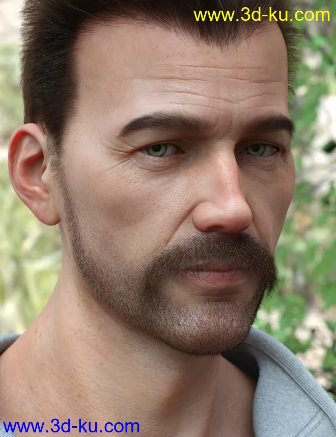 Stranded Whiskers for Genesis 8 Male(s)模型的图片4