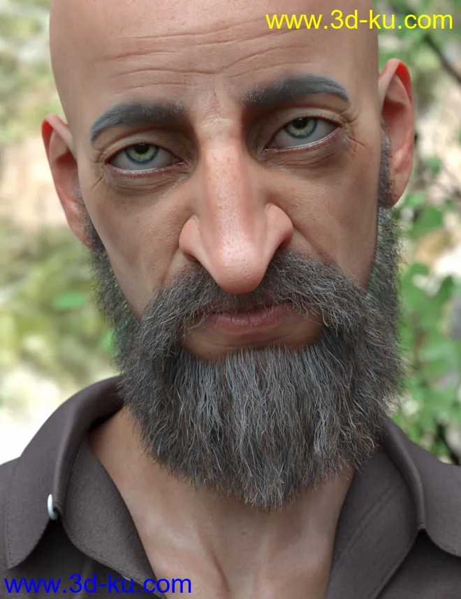 Stranded Whiskers for Genesis 8 Male(s)模型的图片5