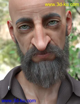 3D打印模型Stranded Whiskers for Genesis 8 Male(s)的图片