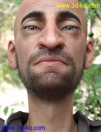 3D打印模型Stranded Whiskers for Genesis 8 Male(s)的图片