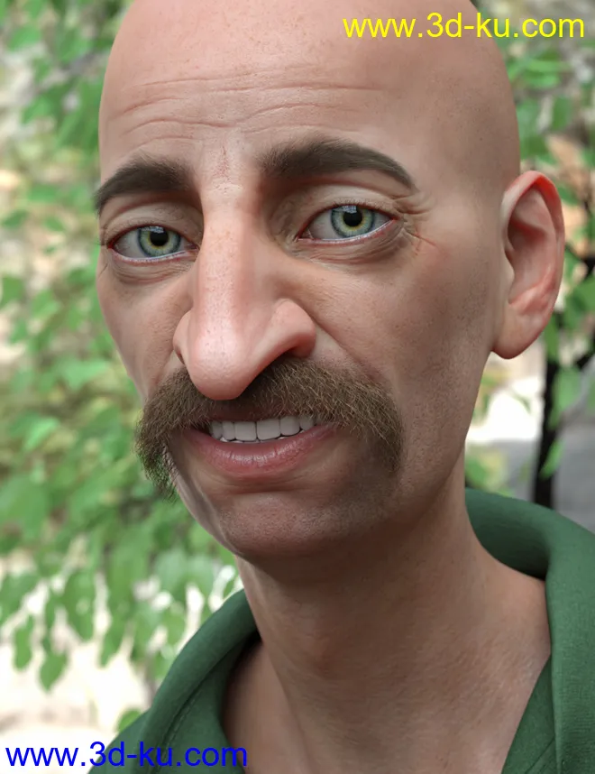 Stranded Whiskers for Genesis 8 Male(s)模型的图片8