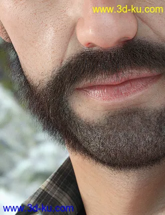 3D打印模型Stranded Whiskers for Genesis 8 Male(s)的图片