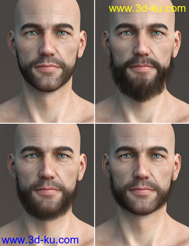 Stranded Whiskers for Genesis 8 Male(s)模型的图片10