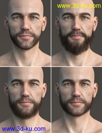 3D打印模型Stranded Whiskers for Genesis 8 Male(s)的图片