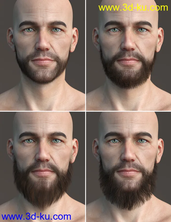 Stranded Whiskers for Genesis 8 Male(s)模型的图片11