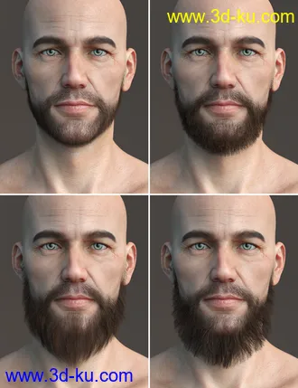 3D打印模型Stranded Whiskers for Genesis 8 Male(s)的图片