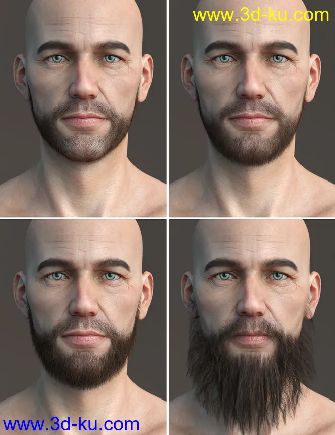 Stranded Whiskers for Genesis 8 Male(s)模型的图片12