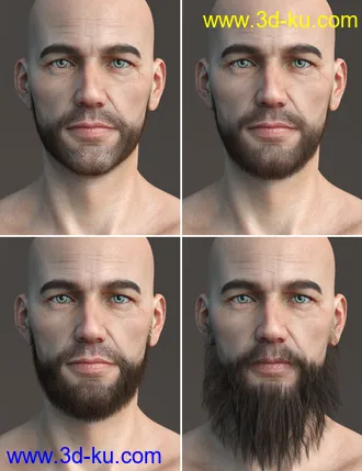 3D打印模型Stranded Whiskers for Genesis 8 Male(s)的图片