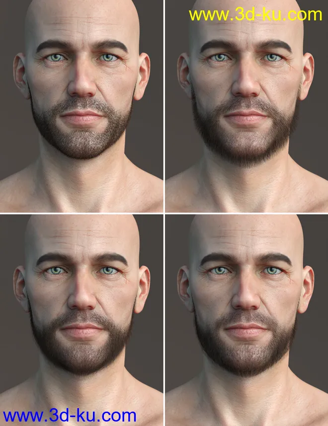 Stranded Whiskers for Genesis 8 Male(s)模型的图片13