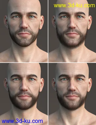 3D打印模型Stranded Whiskers for Genesis 8 Male(s)的图片