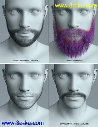 3D打印模型Stranded Whiskers for Genesis 8 Male(s)的图片