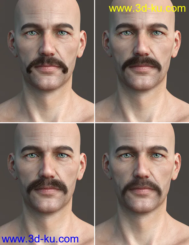 Stranded Whiskers for Genesis 8 Male(s)模型的图片16