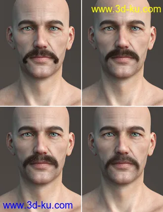 3D打印模型Stranded Whiskers for Genesis 8 Male(s)的图片