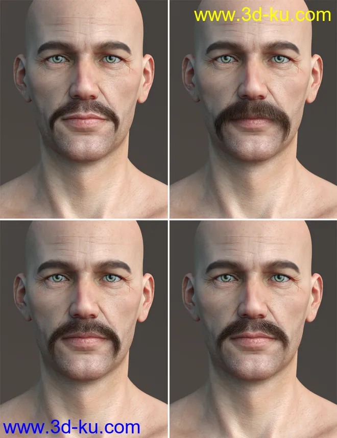 Stranded Whiskers for Genesis 8 Male(s)模型的图片17