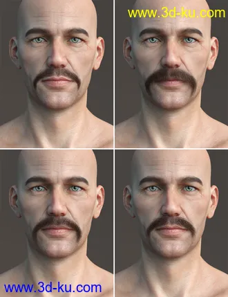 3D打印模型Stranded Whiskers for Genesis 8 Male(s)的图片