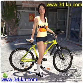 3D打印模型STZ Bicycle的图片