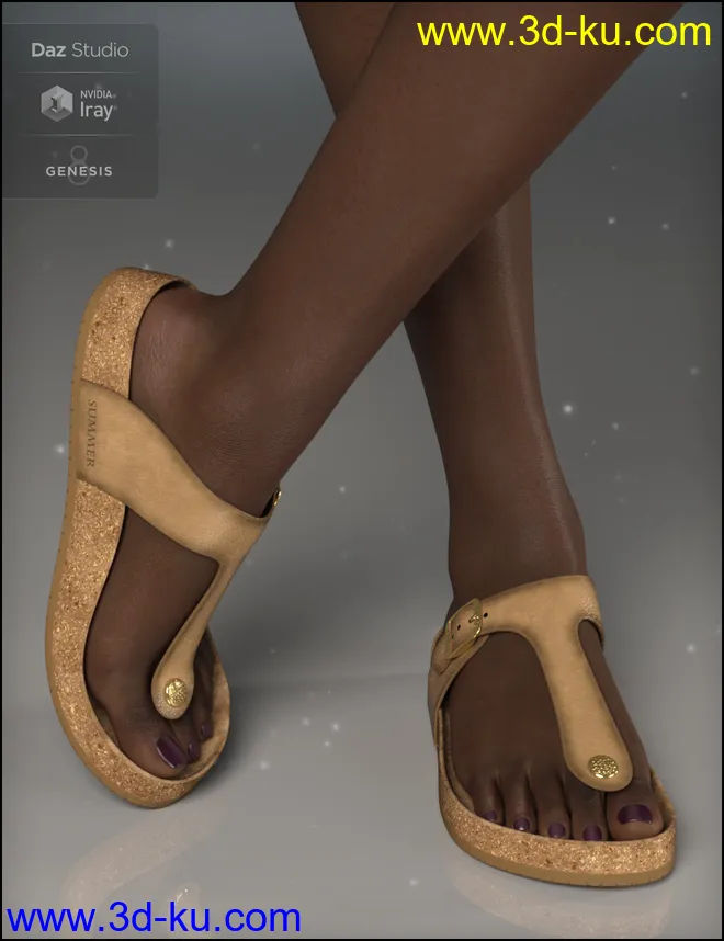 Summer Style Sandals for Genesis 8 Female(s)模型的图片1
