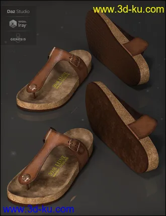 3D打印模型Summer Style Sandals for Genesis 8 Female(s)的图片