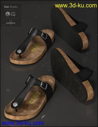 3D打印模型Summer Style Sandals for Genesis 8 Female(s)的图片