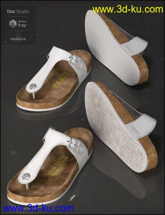 3D打印模型Summer Style Sandals for Genesis 8 Female(s)的图片