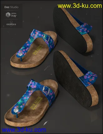 3D打印模型Summer Style Sandals for Genesis 8 Female(s)的图片