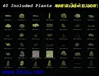 3D打印模型SY Fast Foliage Iray的图片