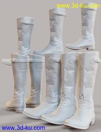 3D打印模型Tall Lace Boots for Genesis 8 Female的图片