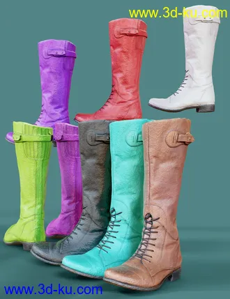 3D打印模型Tall Lace Boots for Genesis 8 Female的图片