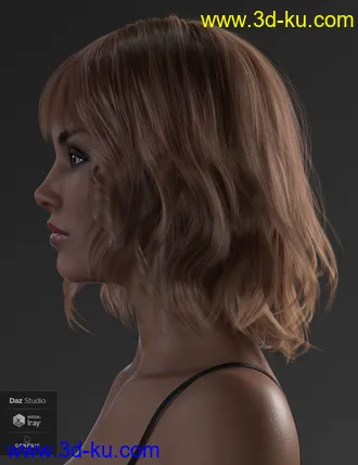 3D打印模型Taylor Hair For Genesis 8 Female(s)的图片