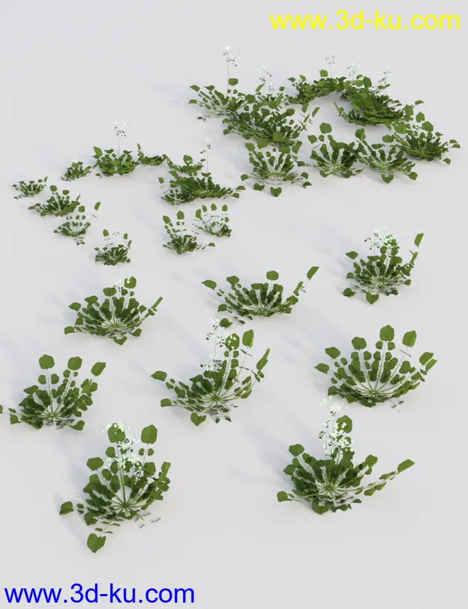 Teeny Tiny Plants模型的图片4