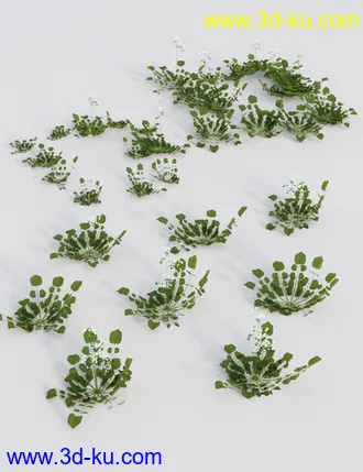 3D打印模型Teeny Tiny Plants的图片