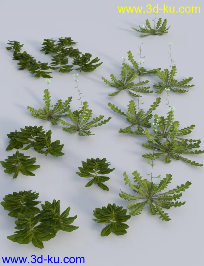 Teeny Tiny Plants模型的图片6