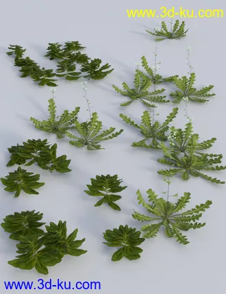 3D打印模型Teeny Tiny Plants的图片