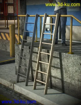 3D打印模型The Ladder Collection的图片