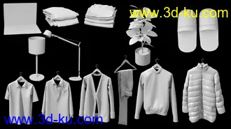3D打印模型The Master Bedroom的图片