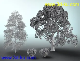 3D打印模型The Meeting Lodge的图片
