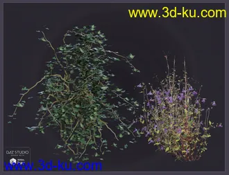 3D打印模型The Old Shambles的图片